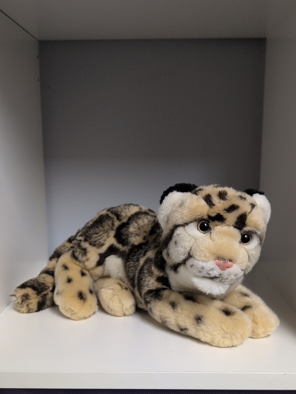 Webkinz Endangered Clouded Leopard No Code GANZ Y2K Collectible Plush